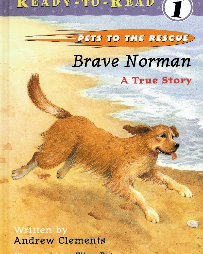 Cover of Brave Norman: A True Story