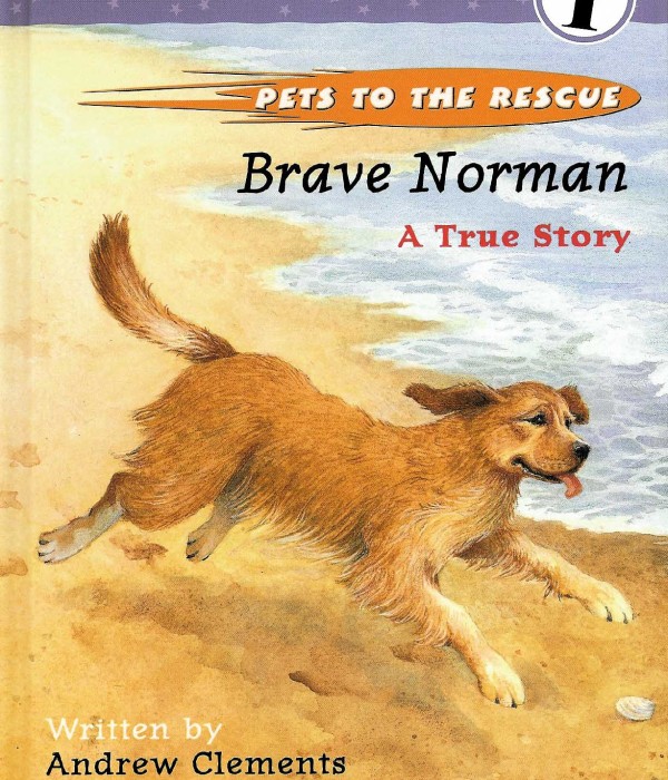 Cover of cover_brave-norman_EN-US