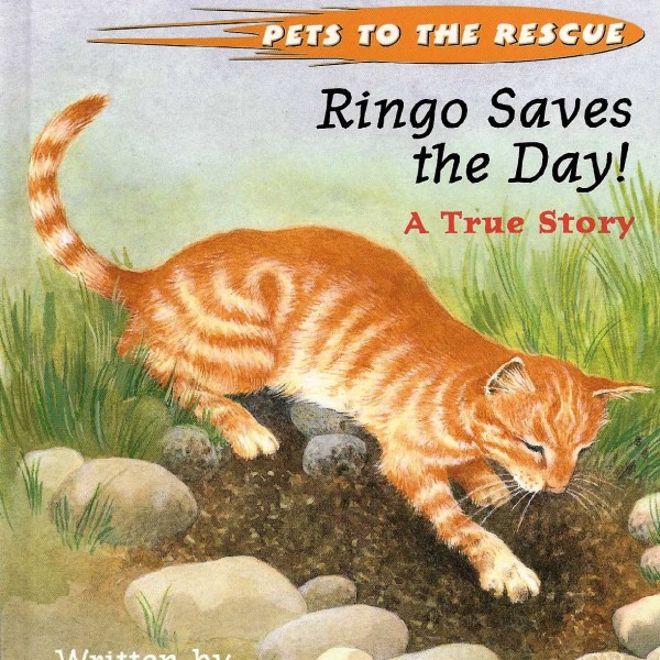 Cover of Ringo Saves the Day!